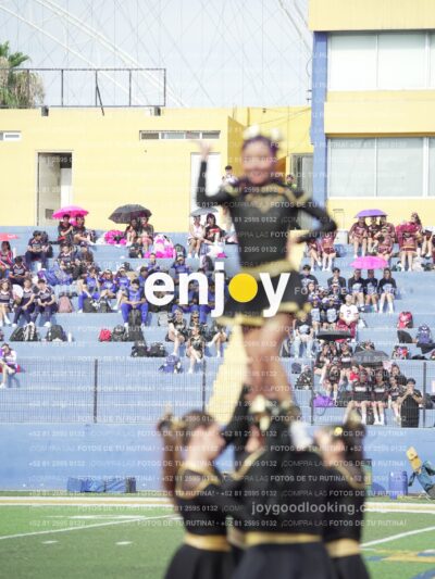 Vixra Joy03376 Compressed