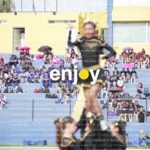 Vixra Joy03376 Compressed