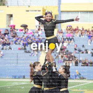 Vixra Joy03378 Compressed
