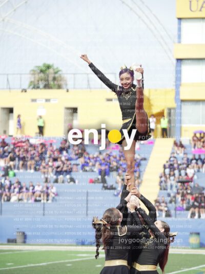 Vixra Joy03390 Compressed