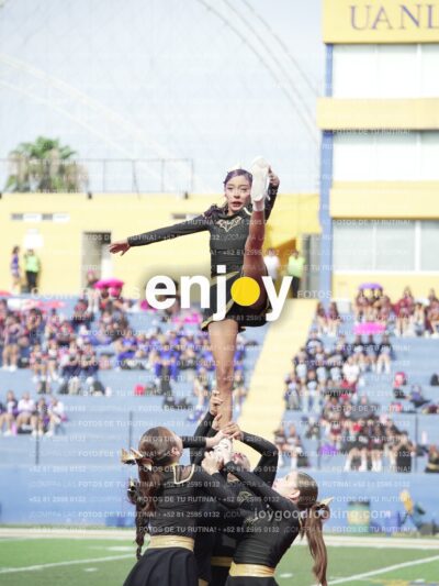 Vixra Joy03393 Compressed