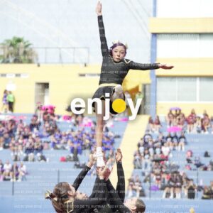 Vixra Joy03394 Compressed