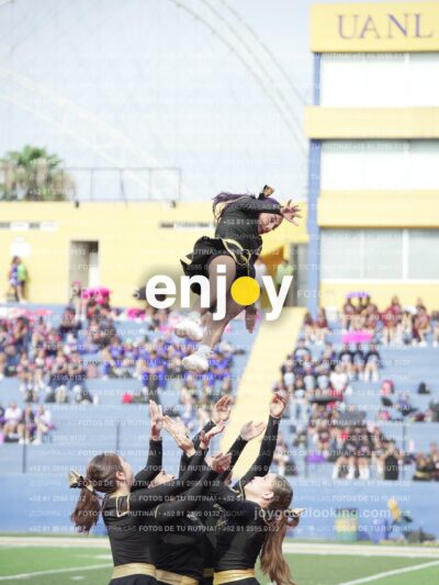 Vixra Joy03395 Compressed