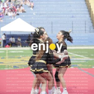 Vixra Joy03397 Compressed