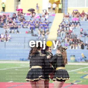 Vixra Joy03402 Compressed