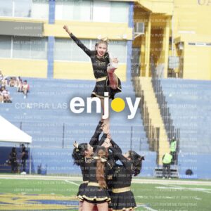 Vixra Joy03408 Compressed