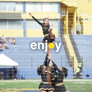 Vixra Joy03410 Compressed