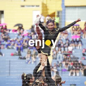Vixra Joy03414 Compressed