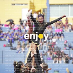 Vixra Joy03416 Compressed