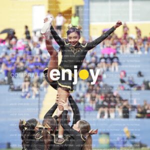 Vixra Joy03417 Compressed
