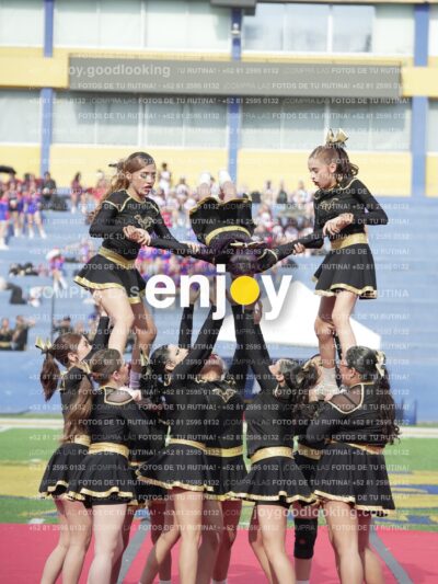 Vixra Joy03431 Compressed