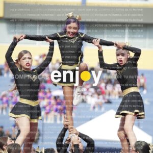 Vixra Joy03438 Compressed
