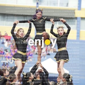 Vixra Joy03447 Compressed