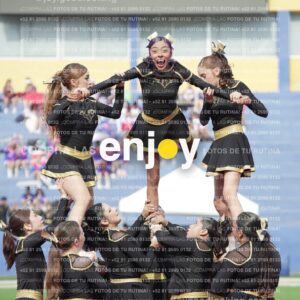 Vixra Joy03454 Compressed