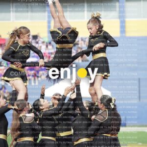 Vixra Joy03456 Compressed