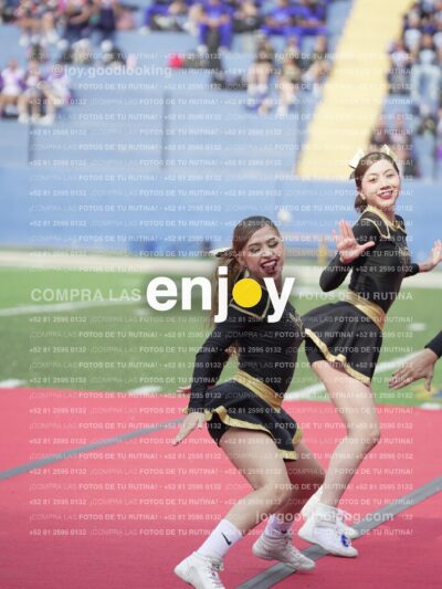 Vixra Joy03458 Compressed