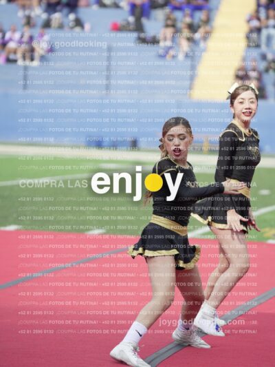 Vixra Joy03459 Compressed