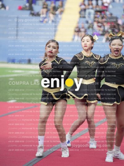 Vixra Joy03460 Compressed