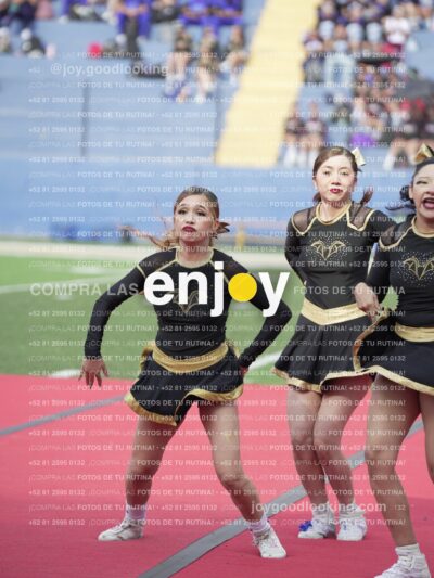 Vixra Joy03461 Compressed