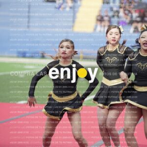 Vixra Joy03461 Compressed