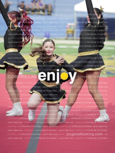 Vixra Joy03462 Compressed