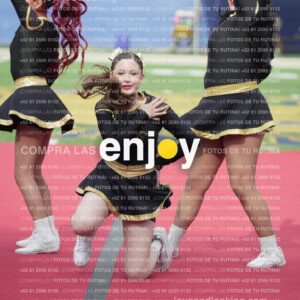 Vixra Joy03462 Compressed