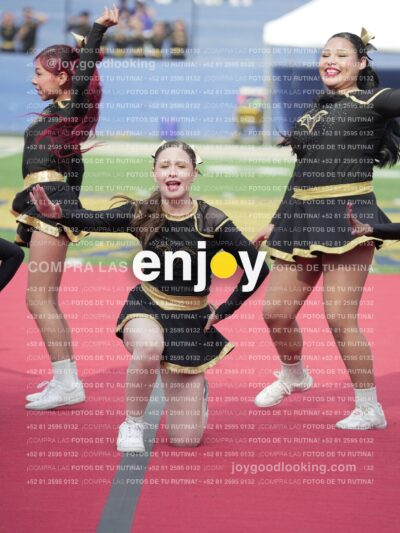 Vixra Joy03463 Compressed