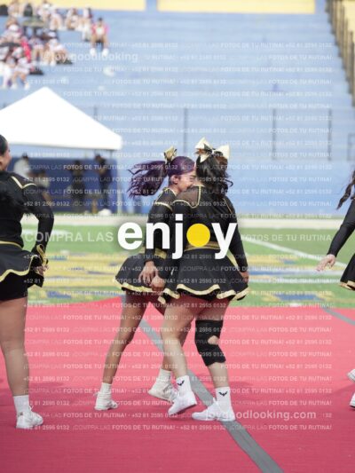 Vixra Joy03467 Compressed