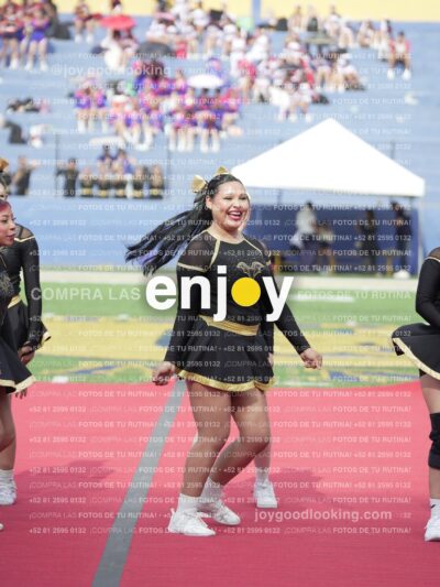 Vixra Joy03468 Compressed