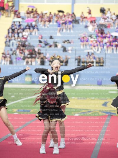 Vixra Joy03471 Compressed