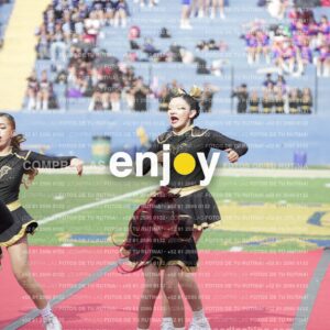 Vixra Joy03472 Compressed
