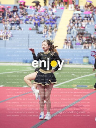 Vixra Joy03473 Compressed