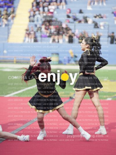 Vixra Joy03475 Compressed