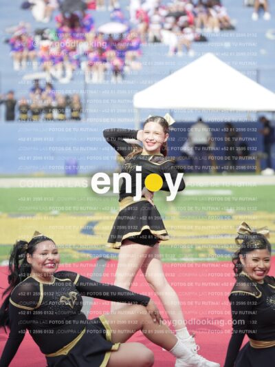 Vixra Joy03477 Compressed