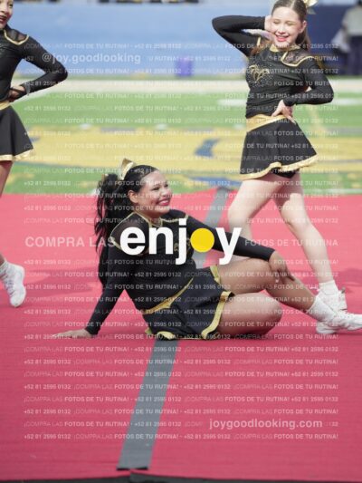 Vixra Joy03478 Compressed