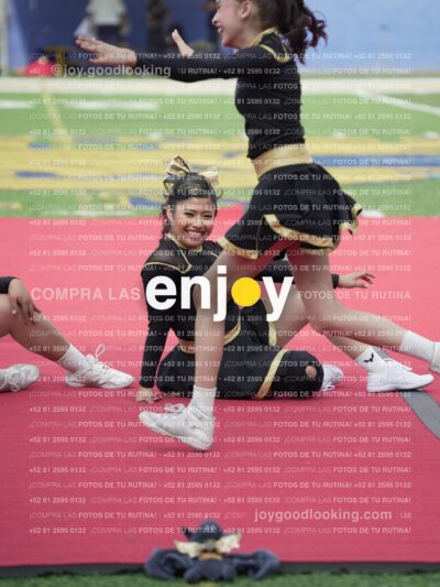 Vixra Joy03479 Compressed