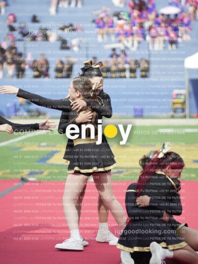 Vixra Joy03485 Compressed