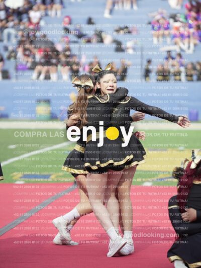 Vixra Joy03486 Compressed