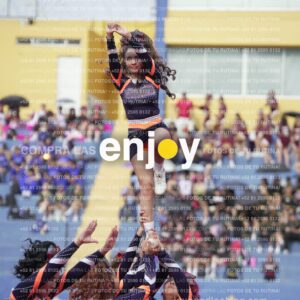 Vixra Joy03503 Compressed