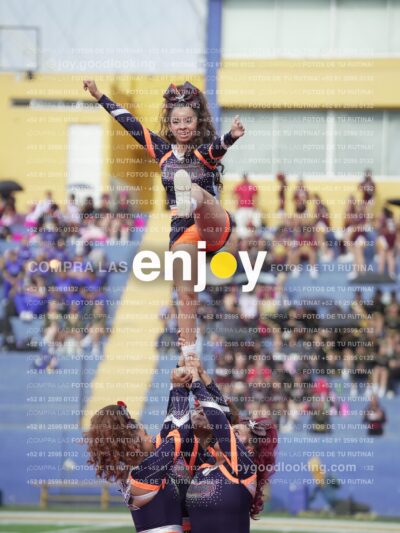 Vixra Joy03504 Compressed