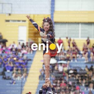 Vixra Joy03505 Compressed