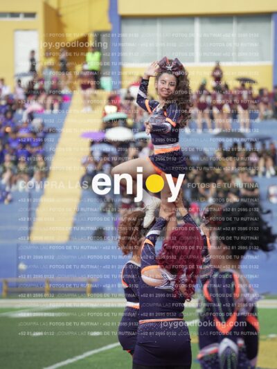 Vixra Joy03515 Compressed