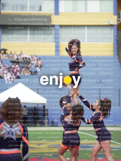 Vixra Joy03517 Compressed