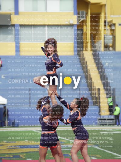 Vixra Joy03518 Compressed