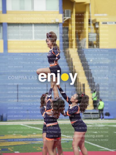 Vixra Joy03520 Compressed