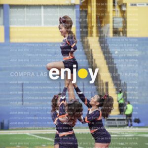 Vixra Joy03520 Compressed