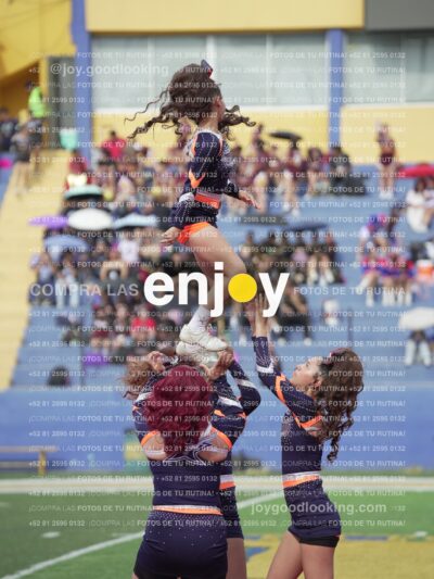 Vixra Joy03521 Compressed