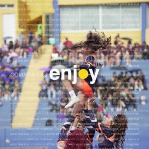 Vixra Joy03522 Compressed