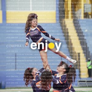 Vixra Joy03526 Compressed
