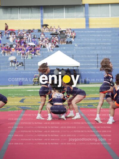 Vixra Joy03530 Compressed